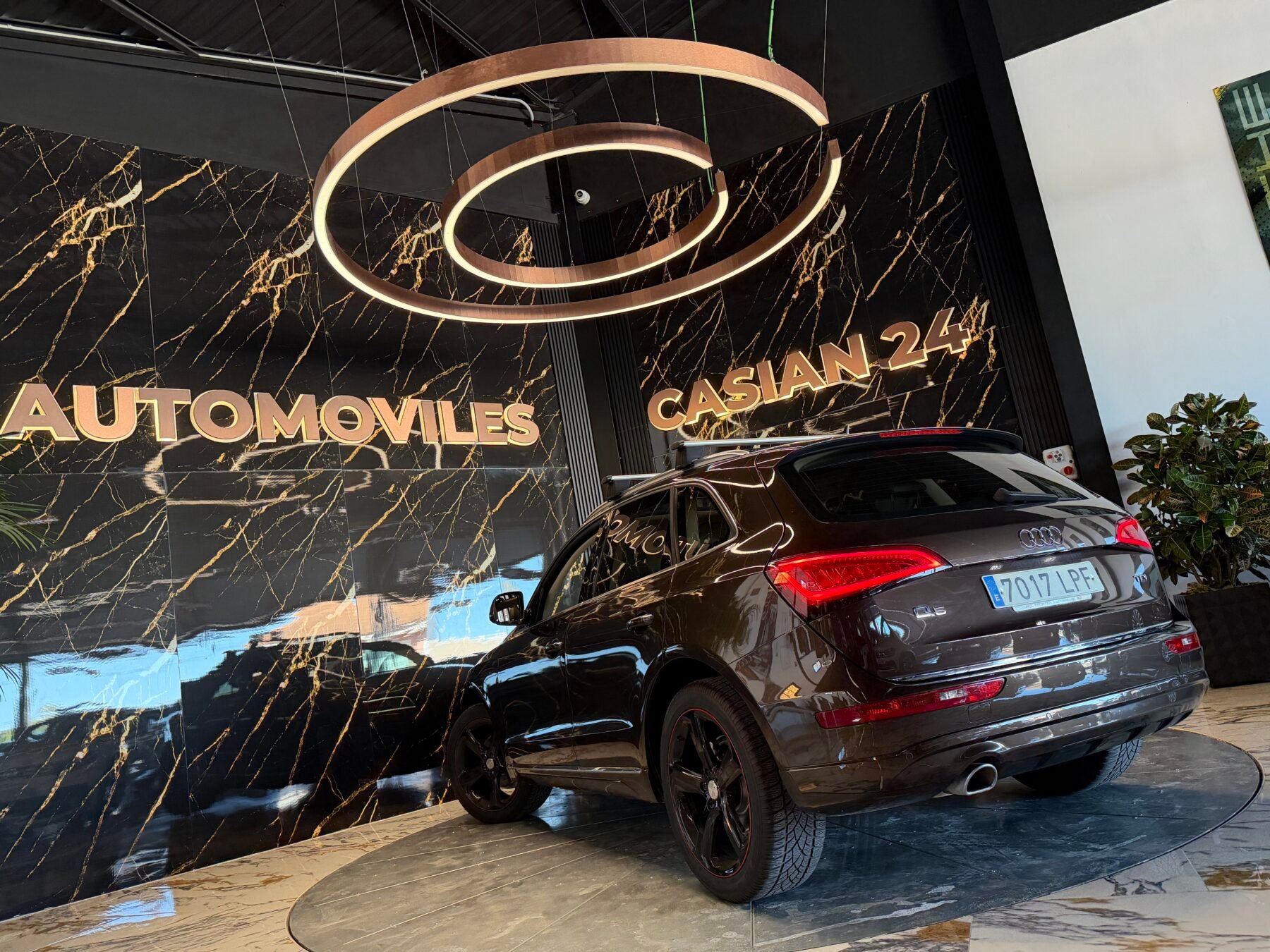 AUDI Q5 2.0 TDI 150CV ultra Sport edition