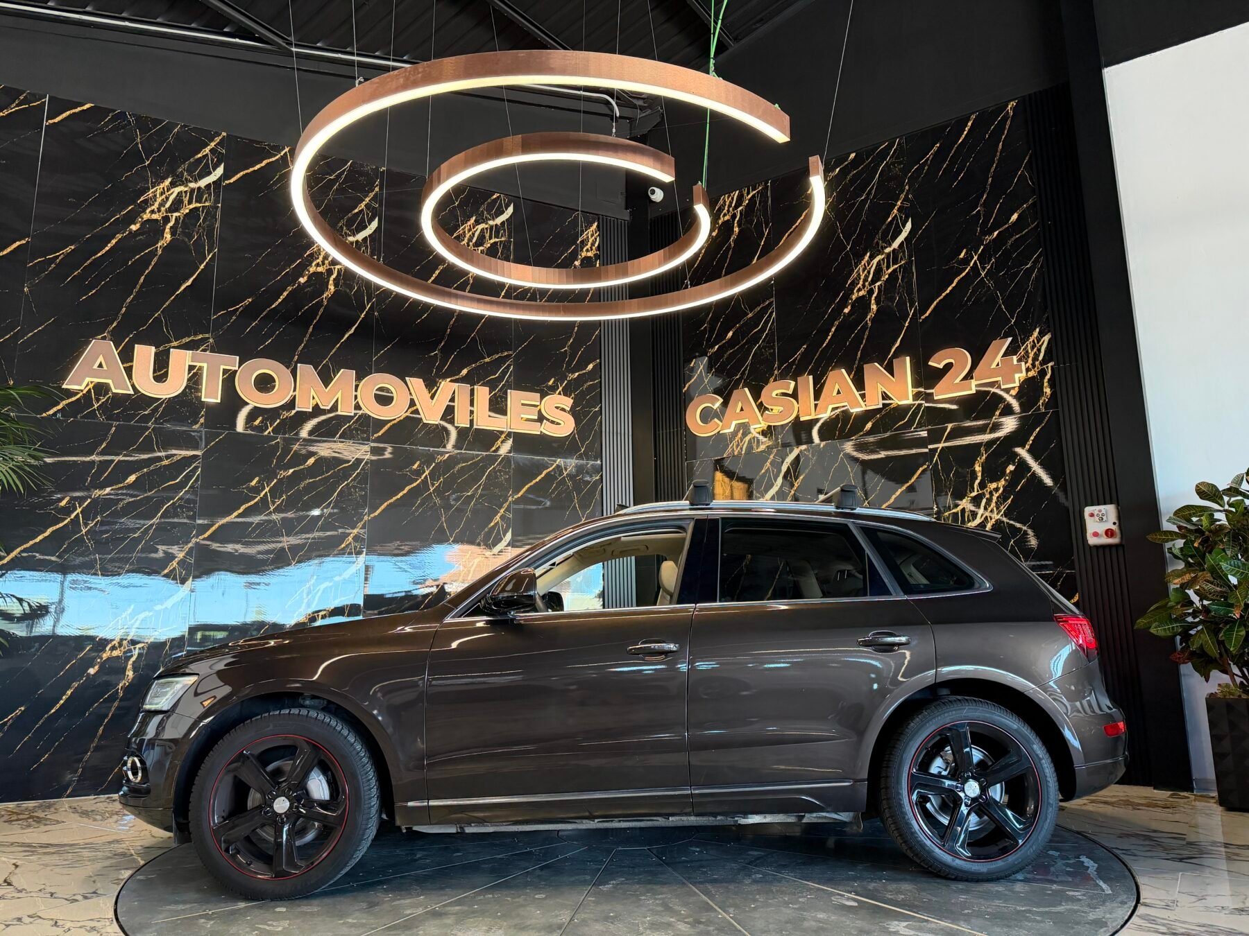 AUDI Q5 2.0 TDI 150CV ultra Sport edition