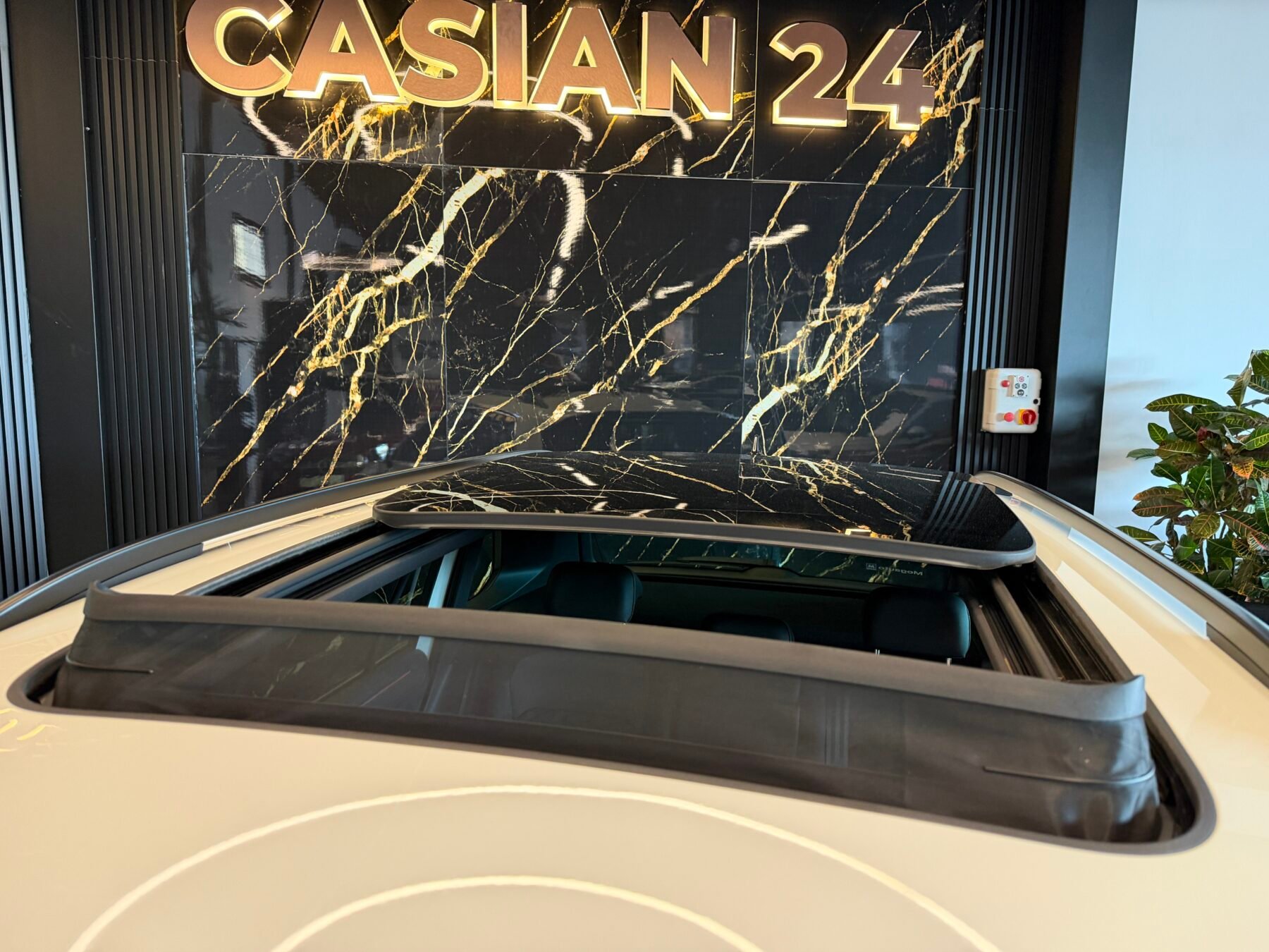 VOLKSWAGEN RLine 2.0 TDI 110kW 150CV DSG