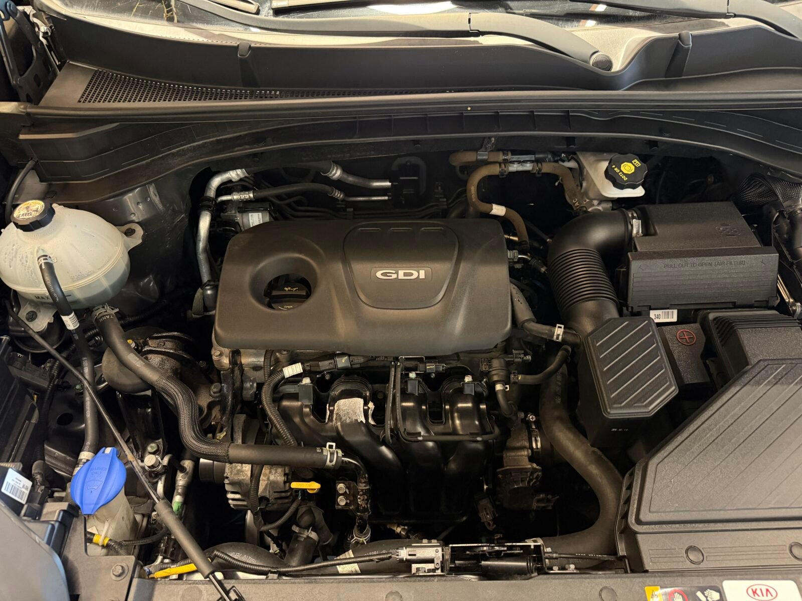 KIA Sportage 1.6 GDI 135CV xTech EcoDynamics 4x2